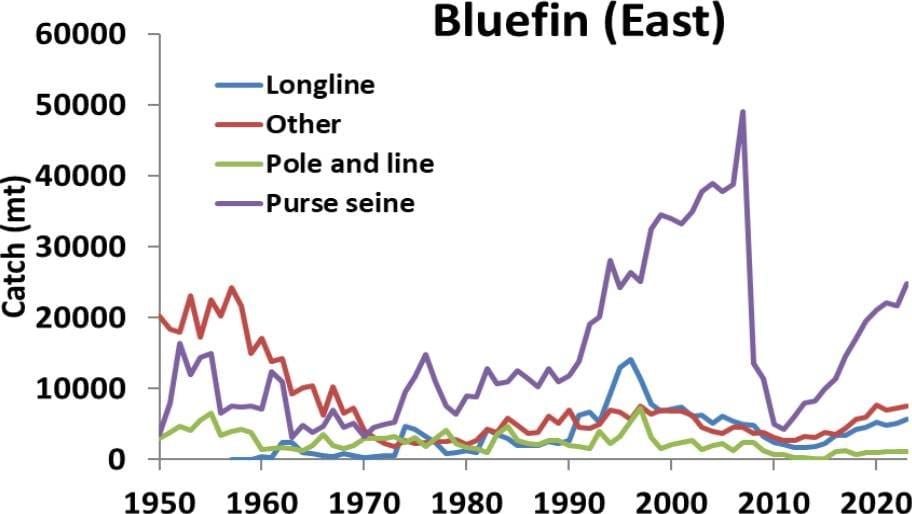 Catches of Eastern Atlantic and Mediterranean bluefin from 1950 to 2023, by gear type.