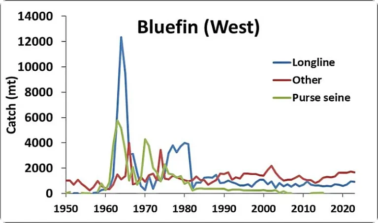 Bluefin tuna fishing in the western Atlantic using fishing gear.