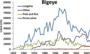 Catches of bigeye tuna in the AO from 1950 to 2023, by gear type