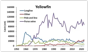Catches of yellowfin tuna in the AO from 1950 to 2023, by gear type.