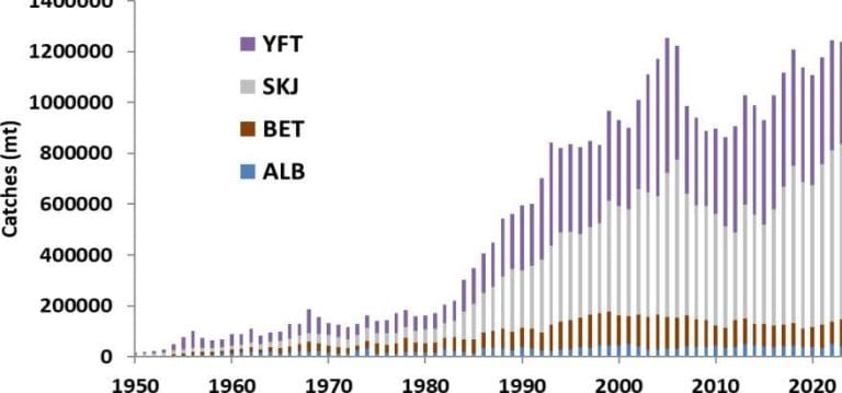 Trends in catch (mt) of bigeye, skipjack, yellowfin and albacore in the IO region,1950-2023.