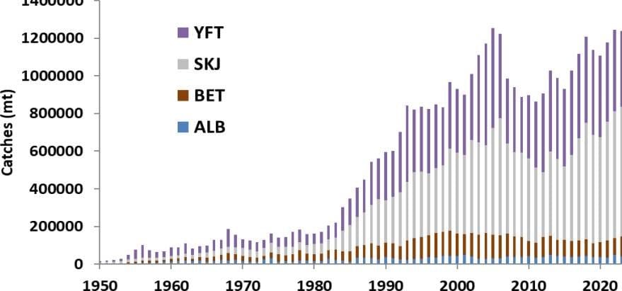 Trends in catch (mt) of bigeye, skipjack, yellowfin and albacore in the IO region,1950-2023.