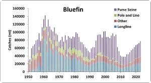 Bluefin tuna catches by fishing type