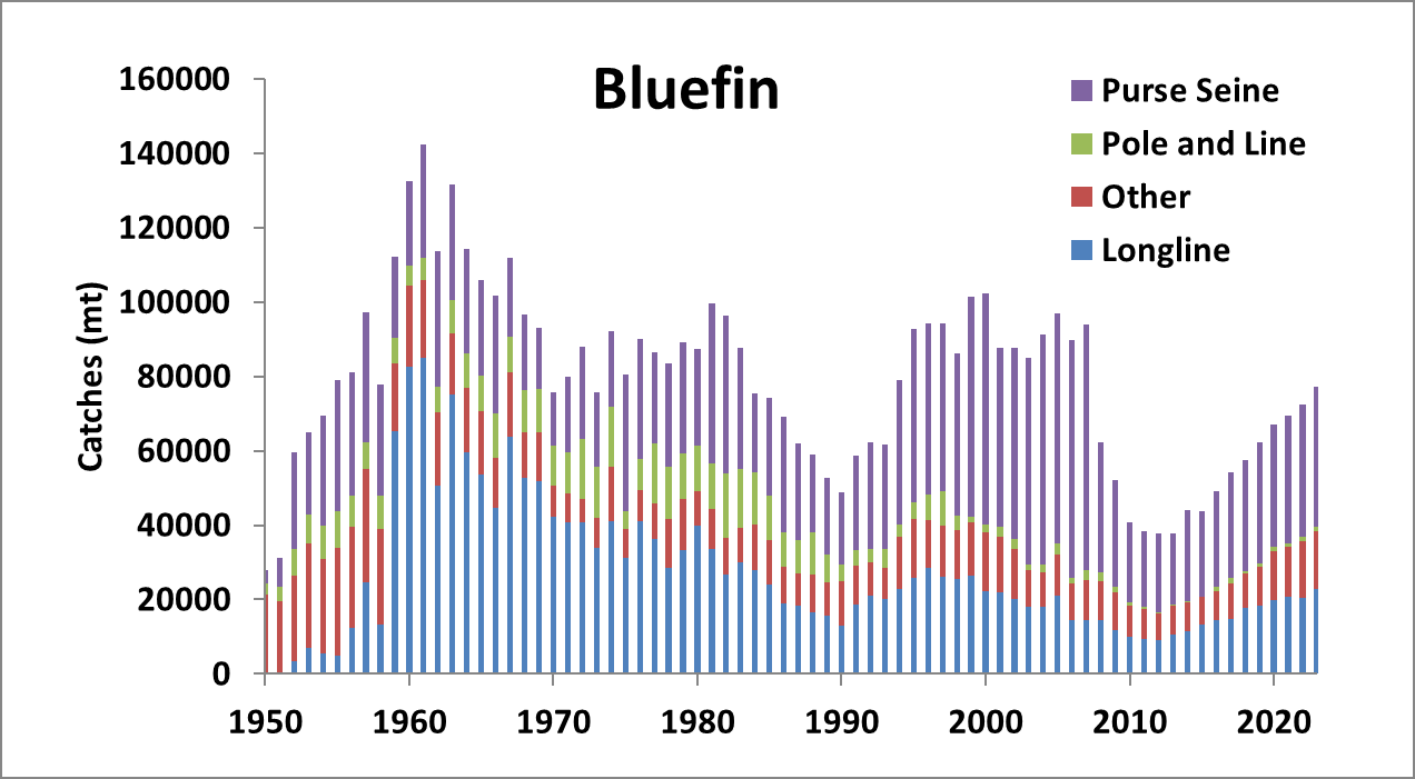 Bluefin