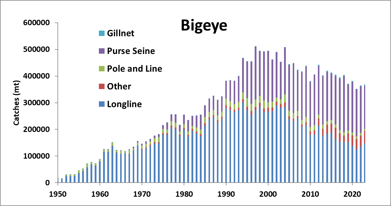 Bigeye tuna