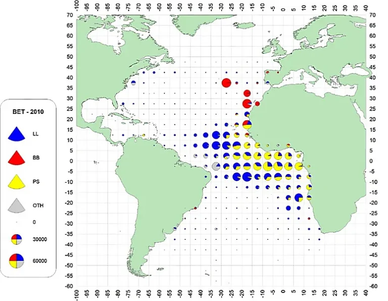 Geographical distribution of bigeye tuna catch