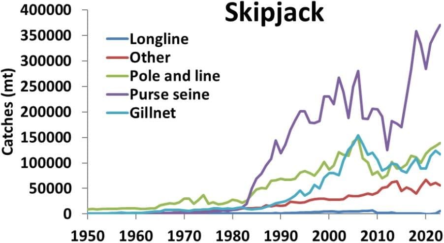 Indian Ocean skipjack catches