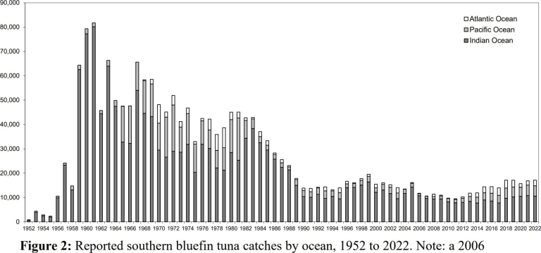 Preview of SBT data indicated that catches over the preceding 10 to 20 years may have been substantially under-reported