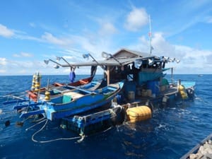 Coastal stationary raft FADs