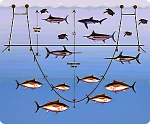 Fish species are objects of longline fishing.