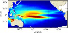 Yellowfin tuna