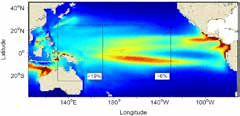 Yellowfin tuna