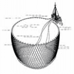 Purse seine schemes