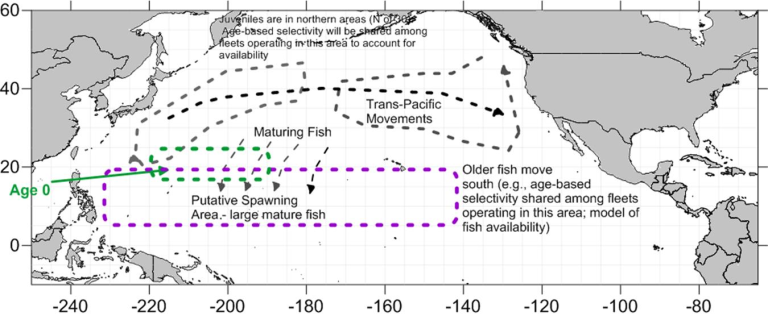 . Spatial domain (red box) of the north Pacific albacore stock (Thunnus alalunga)