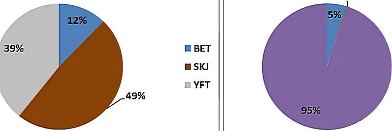 Distribution of catch shares of bigeye, jack and skipjack tuna (left) and catch dynamics by fishing gear type (right).
