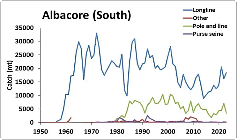 Catches of albacore tuna in the South AO