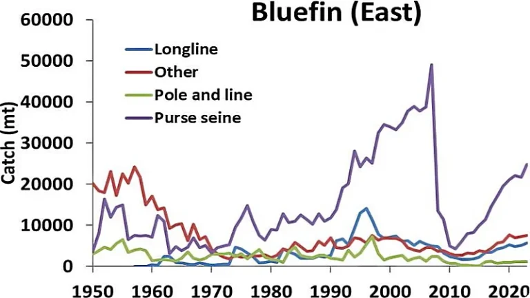Catches of Eastern Atlantic and Mediterranean bluefin from