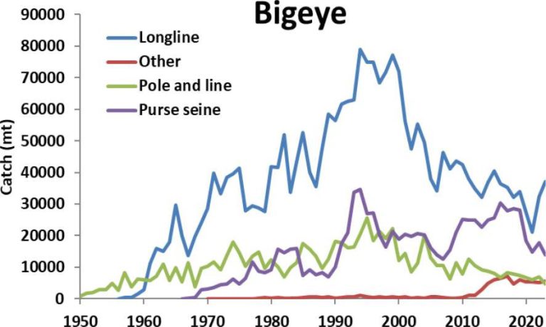 Catches of Bigeye tuna in the AO
