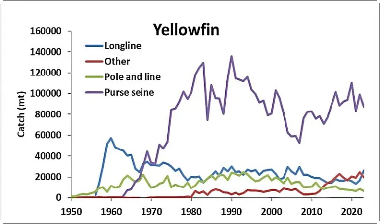 Catches of yellowfin tuna in the AO