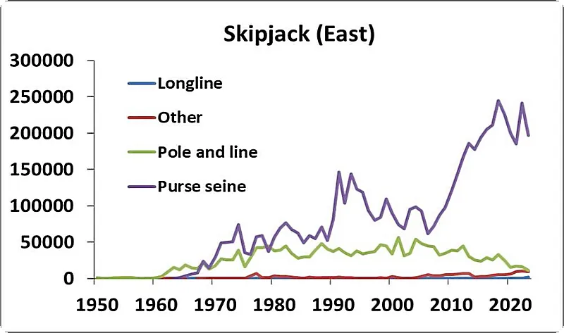 Catches of skipjack tuna in the Eastern AO