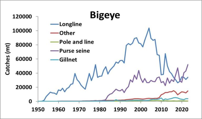 Catches of bigeye tuna in the IO
