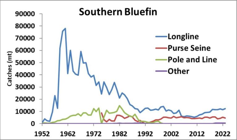 Catches of southern bluefin tuna