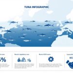 Новости промысла тунцов